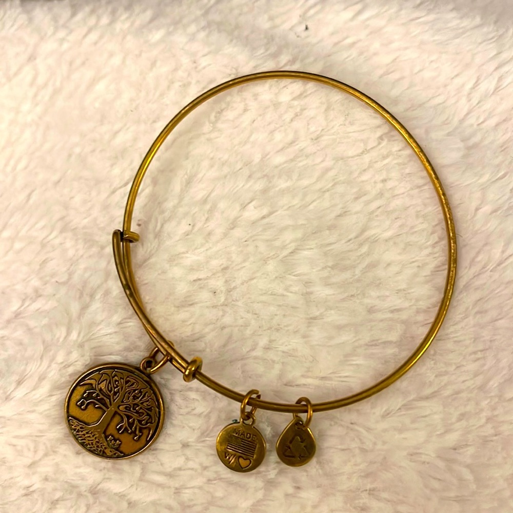 Alex and Ani Tree of Life bracelet